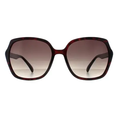 Smarty Sunglasses X2110 B Warm Demi Brown Tortoise Brown