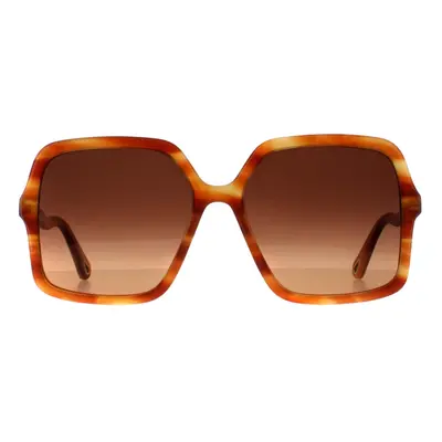 Chloe Sunglasses CH0086S Zelie 002 Havana Brown Gradient