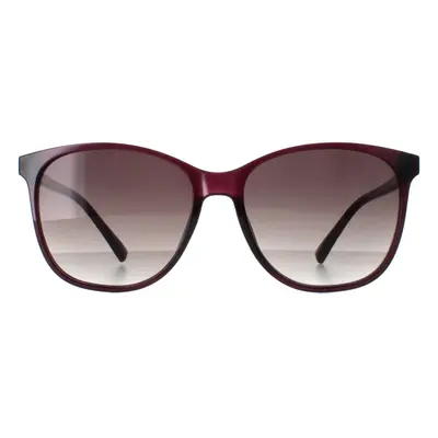 Smarty Sunglasses X2023 E Transparent Cassis Purple Grey