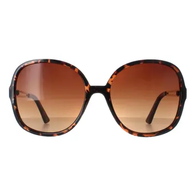 Smarty Sunglasses X2117 B Demi Gold Brown