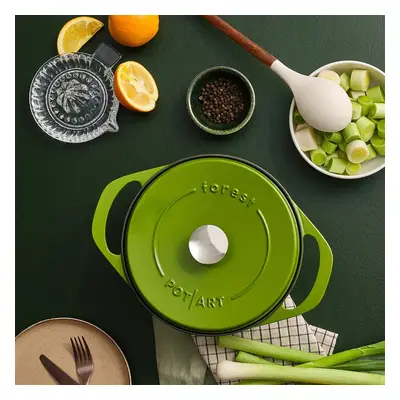 Pot Art Cast Iron Induction Stockpot with Lid, 24cm, Green