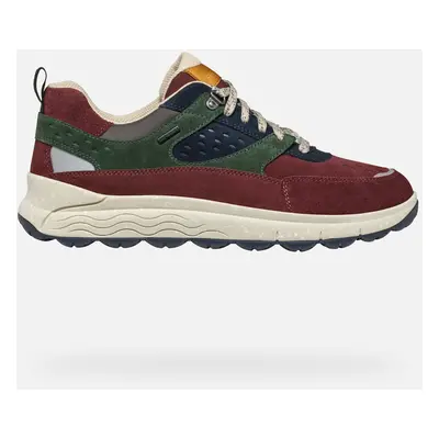 GEOX Spherica 4x4 Abx Man Wine/dark Green, Size: