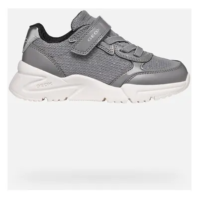 GEOX Loftus Junior Grey, Size: