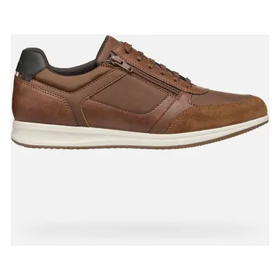 GEOX Avery Man Brown Cotto, Size: