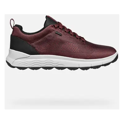 GEOX Spherica 4x4 Abx Man Wine/navy, Size: