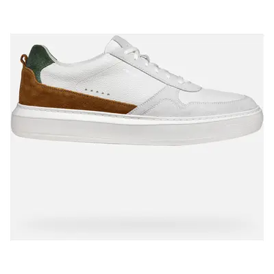 GEOX Deiven Man Off White/cognac, Size: