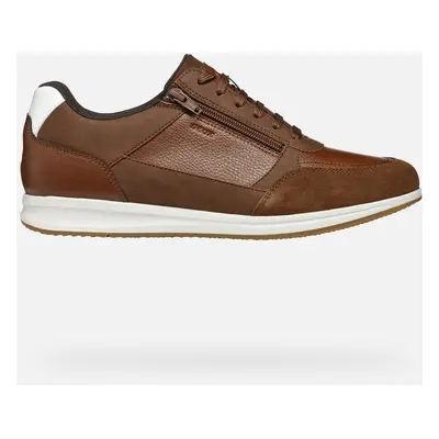 GEOX Avery Man Brown Cotto, Size: