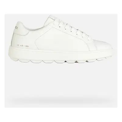 GEOX Spherica Ecub-1 Woman White, Size: