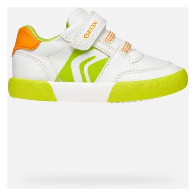 GEOX Gisli Toddler Boy White/fluo Green, Size: