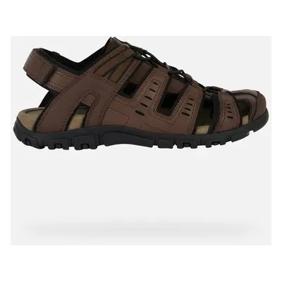 GEOX Strada Man Dark Brown, Size: